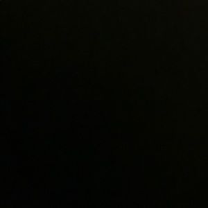 Meet your Posher, Dyneisha